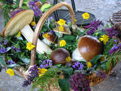 Cépes are available in the month of October in the Dordogne and you will see them sold by locals in the central market square of Monpazier.