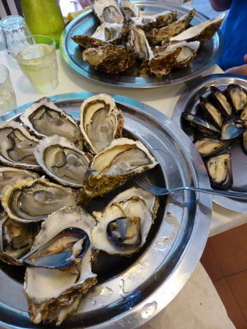 Oysters at Bouzigues in the Languedoc
